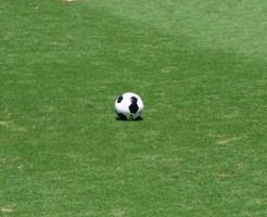スポーツで人を救うことはできない